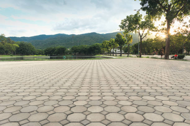 Best Professional Driveway Pavers  in Selmer, TN